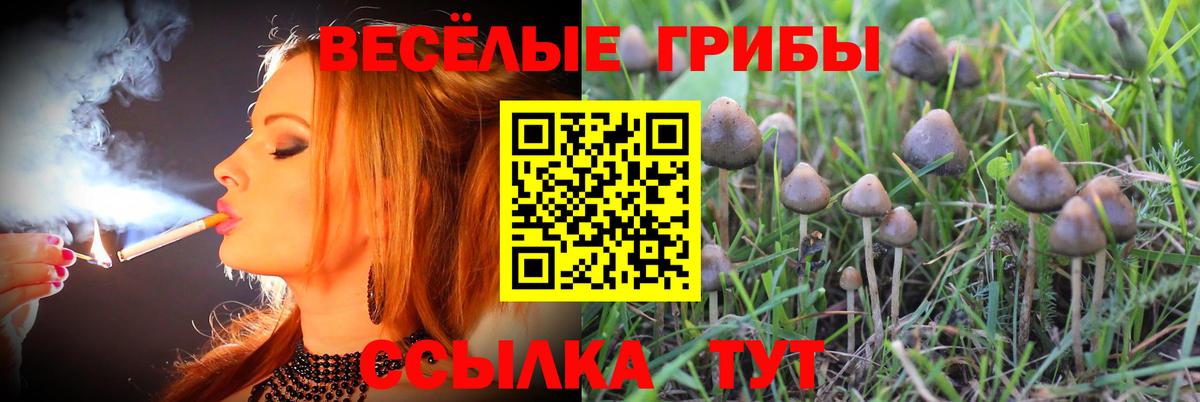 Галлюциногенные грибы MAGIC MUSHROOMS Октябрьский