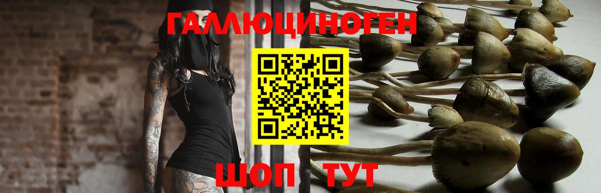 Псилоцибиновые грибы Magic Shrooms  Вход с VPN  Октябрьский 